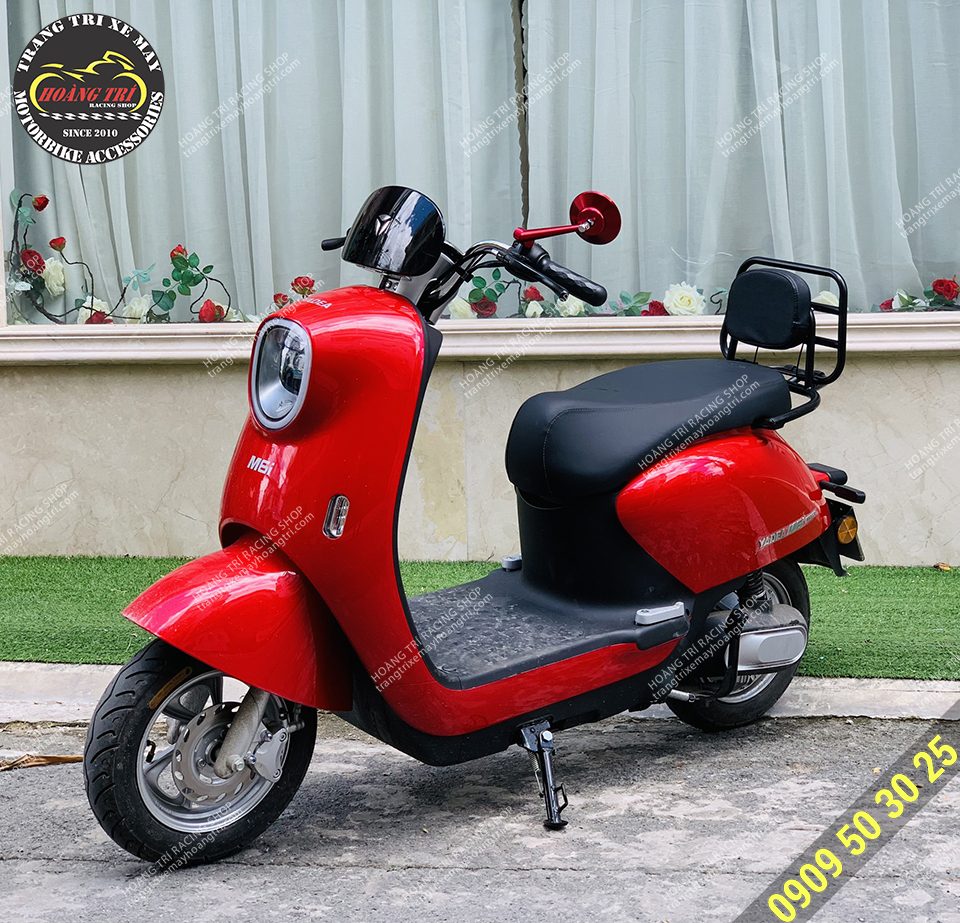 Baga sau kiểu Vespa độ cho xe máy điện Yadea